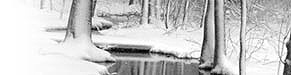 Seasonal Image of Delaware